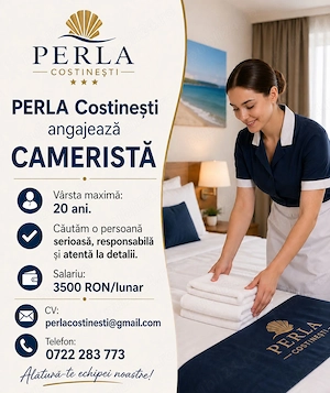 Administrator pensiune (43 camere) - Costinesti si cameriste  - imagine 4