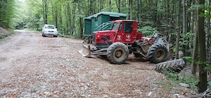 Vand taf forestier  - imagine 5