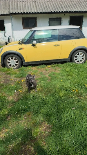 Mini Cooper R50 2002 - imagine 3