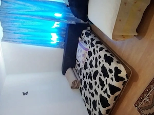 Casa de Vanzare Comuna Mironeasa 