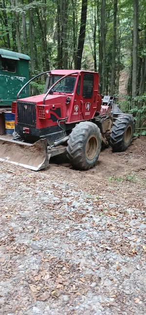 Vand taf forestier  - imagine 4