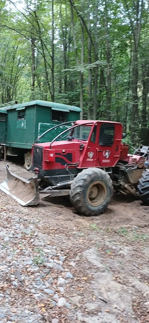 Vand taf forestier  - imagine 3