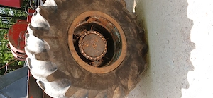 Vand taf forestier  - imagine 6