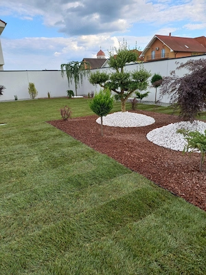 Amenajăm spații verzi 