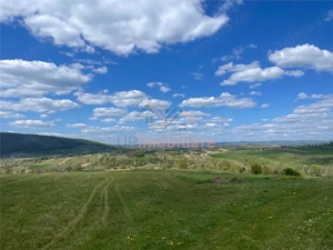 TEREN | BALNACA | 6301MP | BIHOR - imagine 2