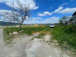 TEREN | BALNACA | 6301MP | BIHOR - imagine 3