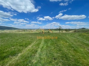 TEREN | BALNACA | 6301MP | BIHOR - imagine 4