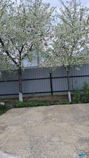 casă de vânzare  - imagine 5