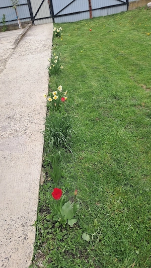 casă de vânzare  - imagine 10