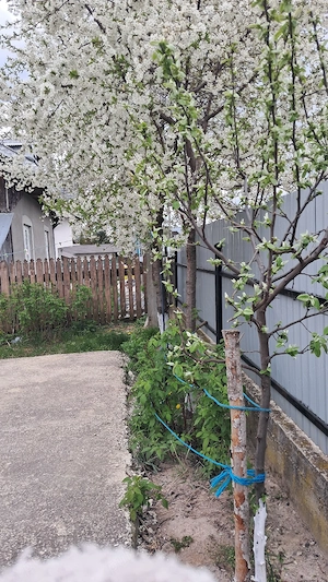 casă de vânzare  - imagine 8