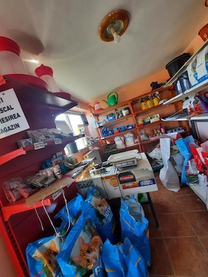 Vand sau schimb casa in localitatea Nojorid - imagine 8