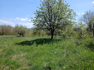Vand teren  intravilan 2515 m2 in Ioanicesti, com Poienarii de Arges. - imagine 4