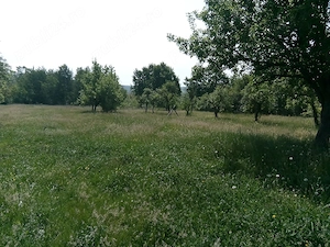 Vand teren  intravilan 2515 m2 in Ioanicesti, com Poienarii de Arges. - imagine 9