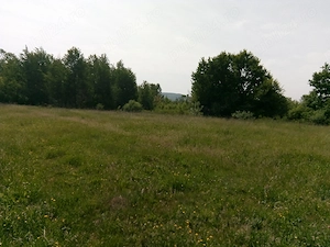 Vand teren  intravilan 2515 m2 in Ioanicesti, com Poienarii de Arges. - imagine 10