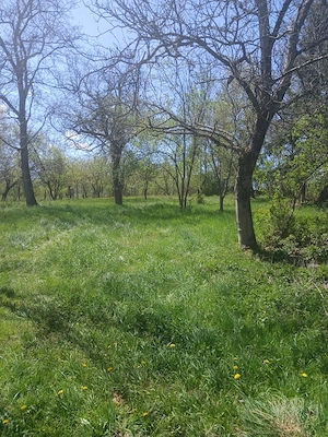 Casa+ teren - imagine 7