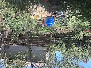 Vand casa in comuna Berceni Ilfov - imagine 3