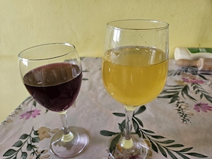 Vin de casa din struguri MERLOT SI NOHAN - imagine 2