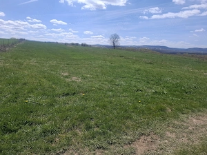 Teren de vanzare pentru cabana sau pensiune 2000 mp L=100 m iar l =20 m in Dangau Mare