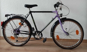 Bicicleta Phoenix