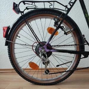 Bicicleta Phoenix - imagine 4