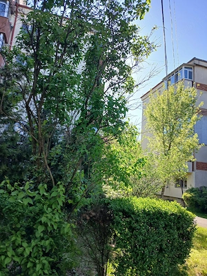 Vand Garsoniera confort1 - imagine 2