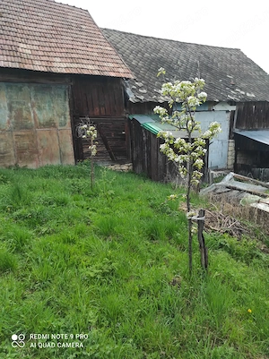 Vând casă la țară - imagine 5