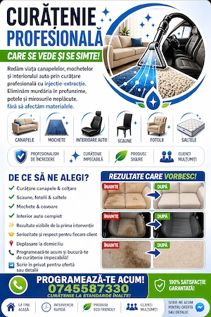 Servicii profesionale de curățare tapițerii textile