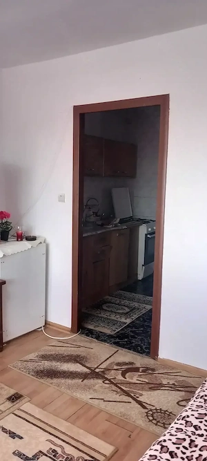 Garsoniera de vanzare Str. Ursului - imagine 4