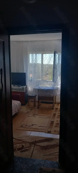 Garsoniera de vanzare Str. Ursului - imagine 5