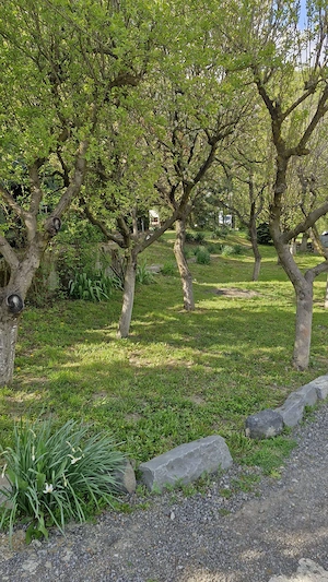 Casă și teren de vânzare în loc.Corunca, zona Vațman - imagine 2