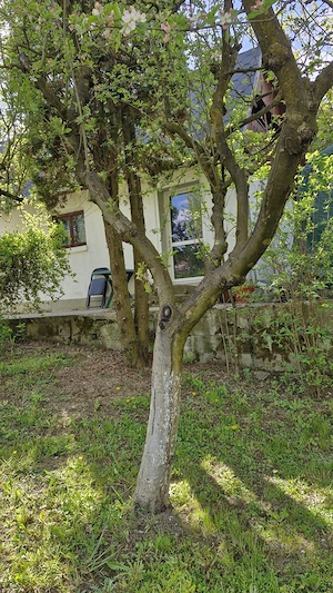 Casă și teren de vânzare în loc.Corunca, zona Vațman