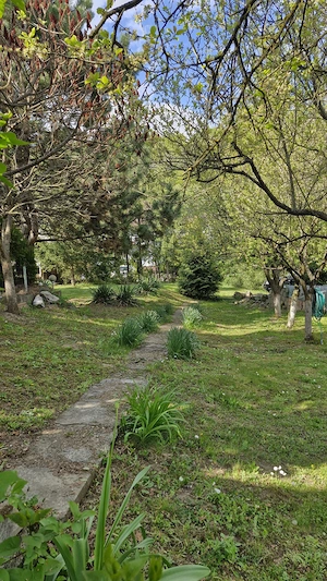 Casă și teren de vânzare în loc.Corunca, zona Vațman - imagine 4