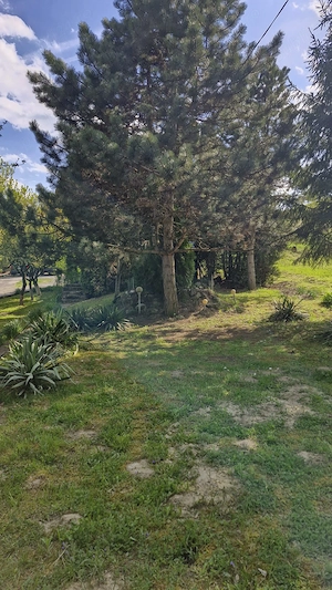 Casă și teren de vânzare în loc.Corunca, zona Vațman - imagine 6
