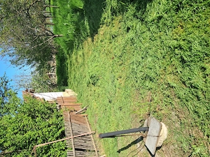 Teren intravilan 1139mp Boranesti, Ialomița, acte la zi. - imagine 6