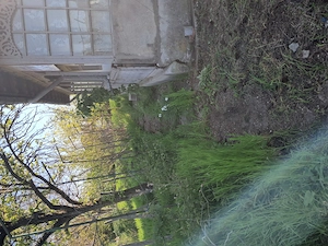 Teren intravilan 1139mp Boranesti, Ialomița, acte la zi. - imagine 4