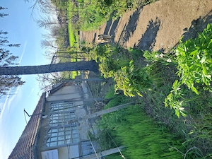 Teren intravilan 1139mp Boranesti, Ialomița, acte la zi. - imagine 3