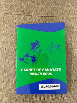 Vand bichon maltez alb  - imagine 3