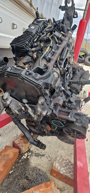 Motor Ford Transit 2.0 - imagine 2