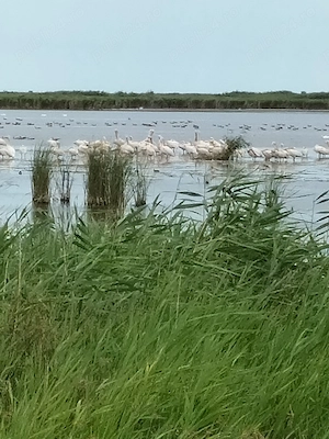 Cazare Delta Dunarii Jurilovca - imagine 2