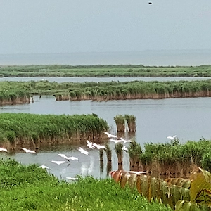 Cazare Delta Dunarii Jurilovca - imagine 4