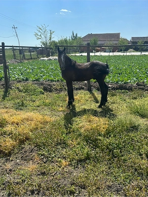 Mai multe detali la Nr de telefon 