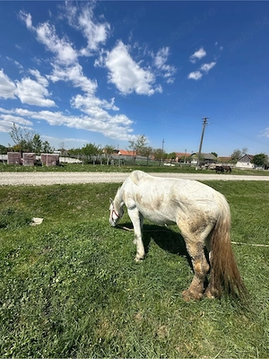 Mai multe detali la Nr de telefon  - imagine 3