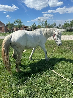 Mai multe detali la Nr de telefon  - imagine 5