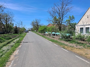 Valcani, proprietate cu casa taraneasca 