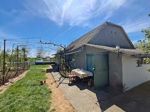 Valcani, proprietate cu casa taraneasca  - imagine 3