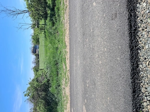 Valcani, proprietate cu casa taraneasca  - imagine 6