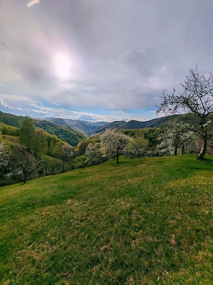 Vând casă locuibilă cu teren aferent situată în satul Alun (Comuna Boșorod)  - imagine 5