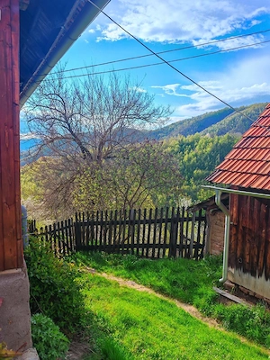 Vând casă locuibilă cu teren aferent situată în satul Alun (Comuna Boșorod)  - imagine 3