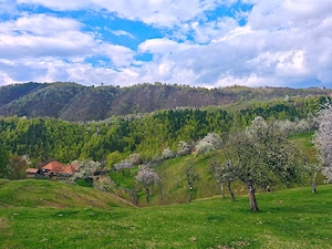 Vând casă locuibilă cu teren aferent situată în satul Alun (Comuna Boșorod)  - imagine 4