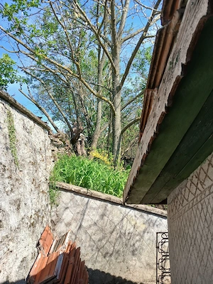 30min de Mangalia,casa piatră,locuibilă,pretabil vânători,vacanță,bodegă,ferită de priviri indiscret - imagine 5